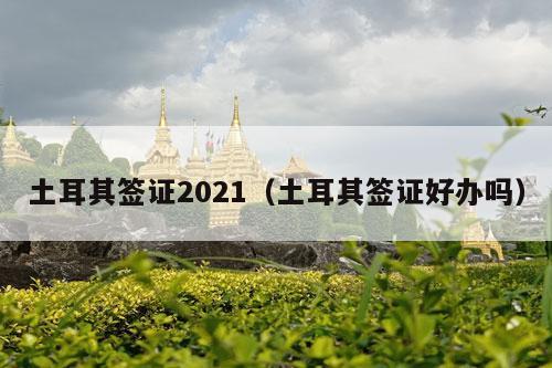 土耳其签证2021（土耳其签证好办吗）