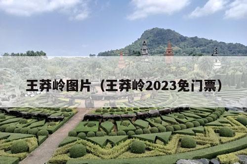 王莽岭图片（王莽岭2023免门票）