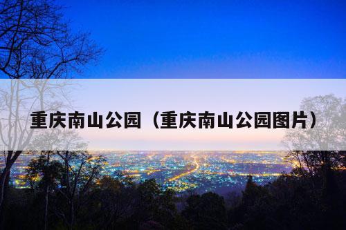 重庆南山公园（重庆南山公园图片）