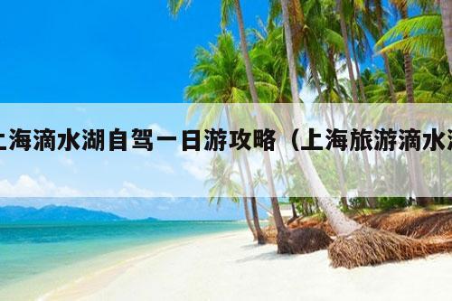 上海滴水湖自驾一日游攻略（上海旅游滴水湖）