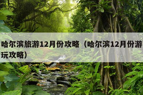 哈尔滨旅游12月份攻略（哈尔滨12月份游玩攻略）