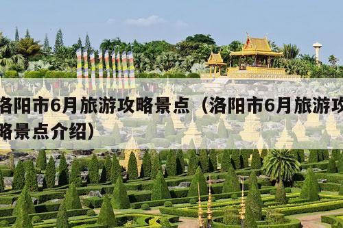 洛阳市6月旅游攻略景点（洛阳市6月旅游攻略景点介绍）