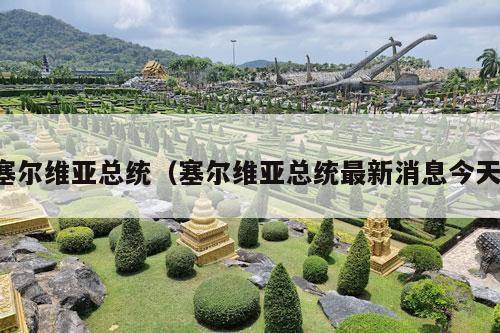 塞尔维亚总统（塞尔维亚总统最新消息今天）