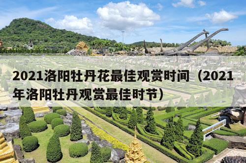 2021洛阳牡丹花最佳观赏时间（2021年洛阳牡丹观赏最佳时节）