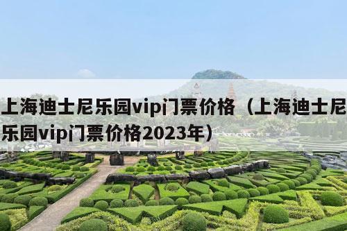 上海迪士尼乐园vip门票价格（上海迪士尼乐园vip门票价格2023年）