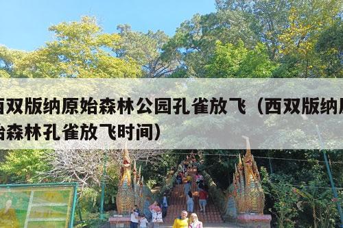 西双版纳原始森林公园孔雀放飞（西双版纳原始森林孔雀放飞时间）