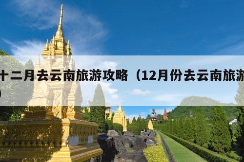 十二月去云南旅游攻略（12月份去云南旅游）