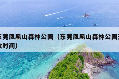 东莞凤凰山森林公园（东莞凤凰山森林公园开放时间）