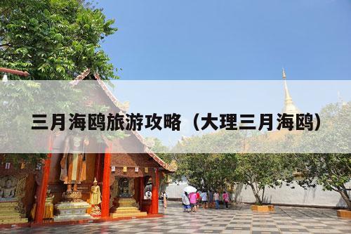 三月海鸥旅游攻略（大理三月海鸥）