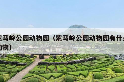 紫马岭公园动物园（紫马岭公园动物园有什么动物）